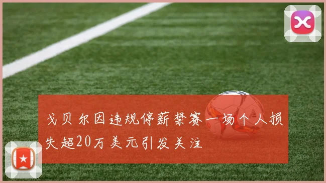 戈贝尔因违规停薪禁赛一场个人损失超20万美元引发关注